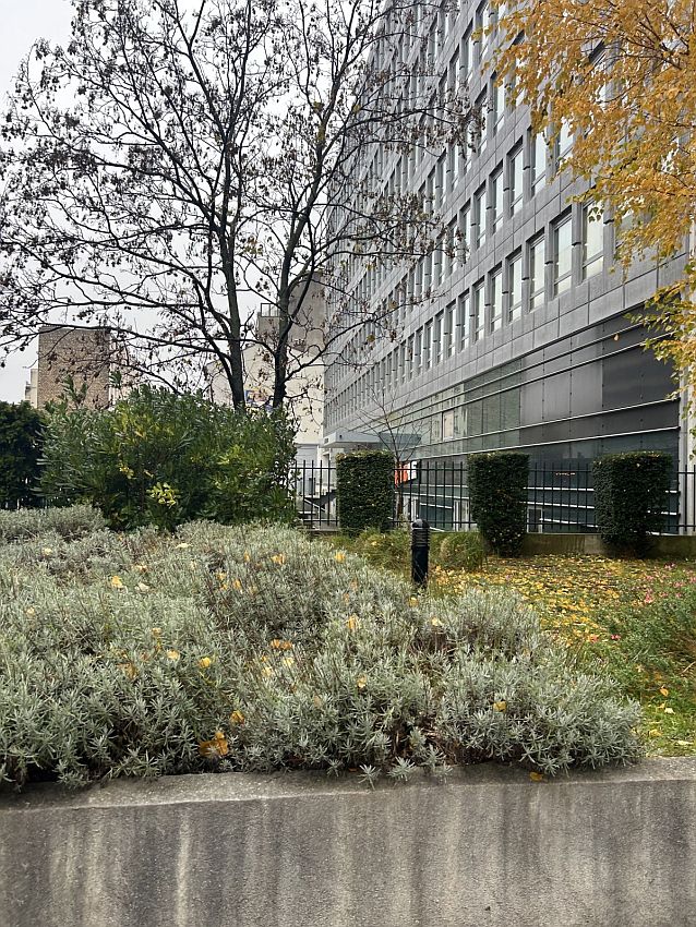 Bureau Vente 92100 BOULOGNE BILLANCOURT