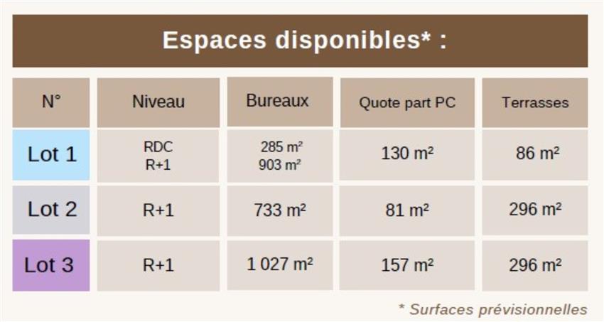Bureau Vente 69230 ST GENIS LAVAL 207 CHEMIN DU GRAND REVOYET