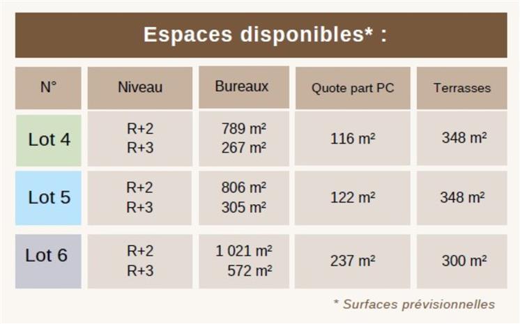 Bureau Vente 69230 ST GENIS LAVAL 207 CHEMIN DU GRAND REVOYET