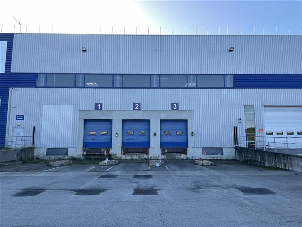 Entrepôt / Local d'activités Vente/Location 44860 ST AIGNAN GRANDLIEU 4 RUE DIEUDONNE COSTES