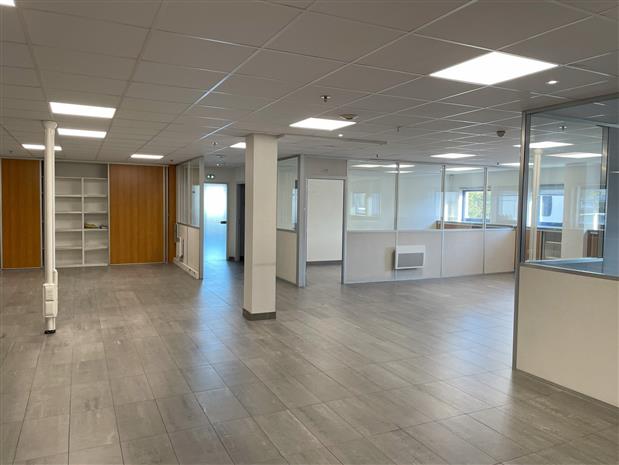 Entrepôt / Local d'activités Vente/Location 44860 ST AIGNAN GRANDLIEU 4 RUE DIEUDONNE COSTES