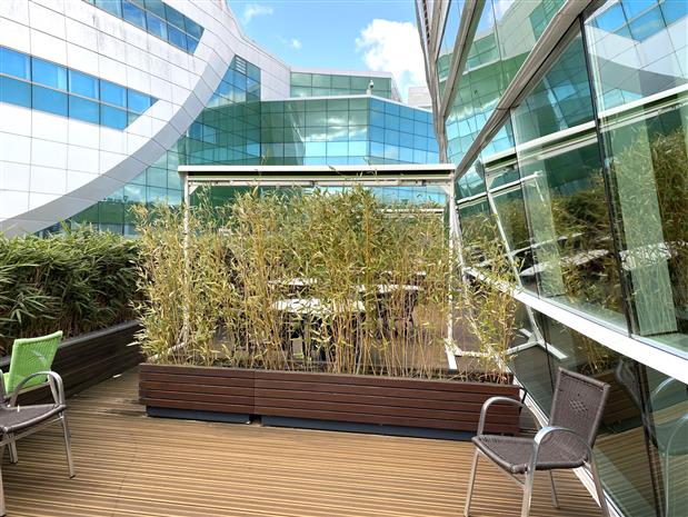 Bureau Location 31100 TOULOUSE 3 AVENUE HUBERT CURIEN
