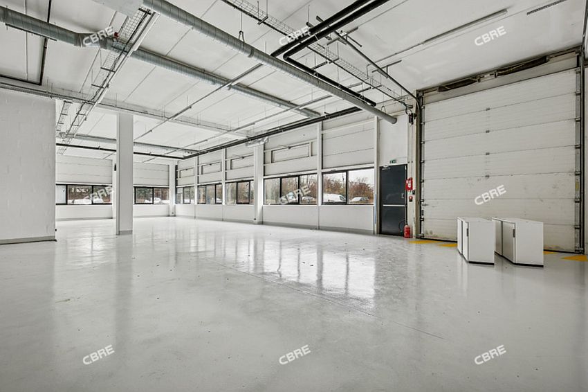 Local d'activités Location 95800 CERGY