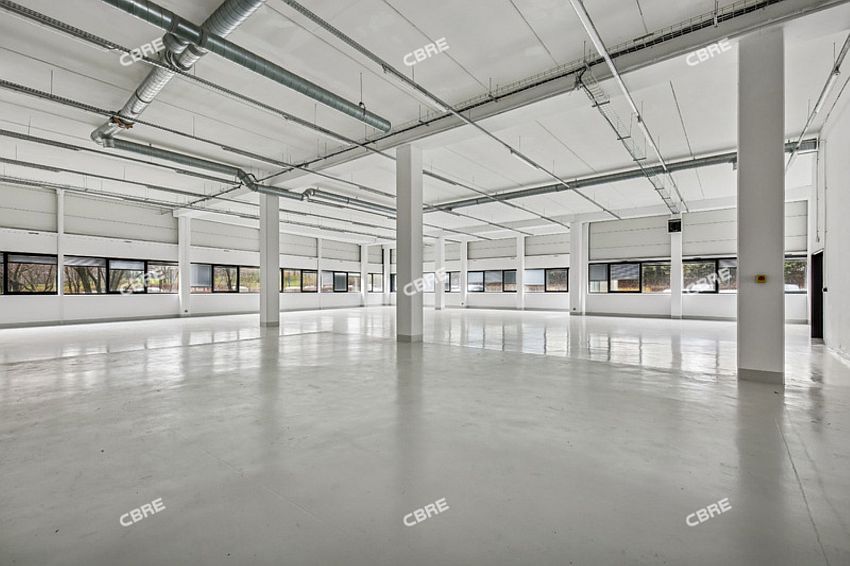 Local d'activités Location 95800 CERGY