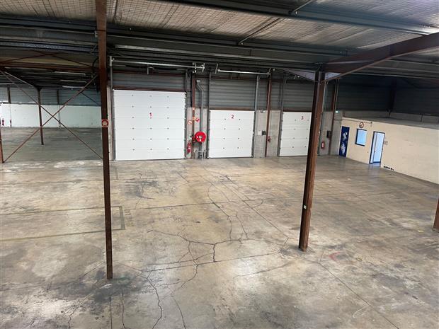 Local d'activités Vente/Location 34750 VILLENEUVE LES MAGUELONE