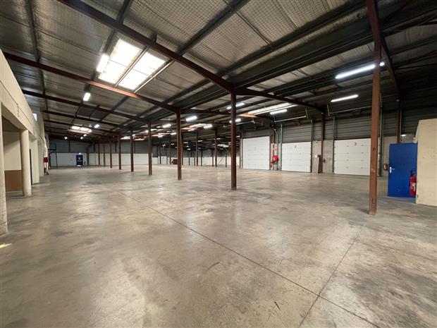 Local d'activités Vente/Location 34750 VILLENEUVE LES MAGUELONE