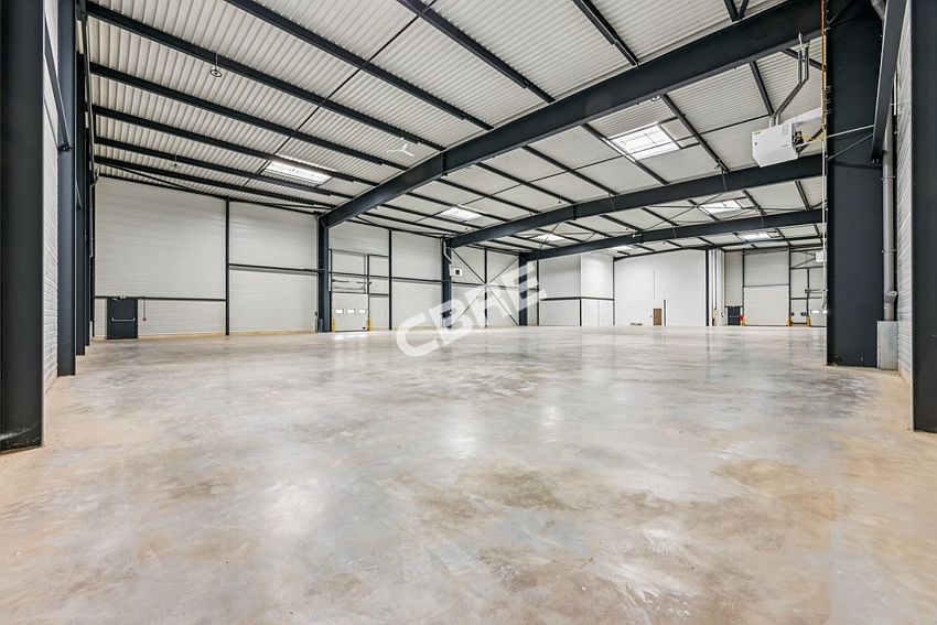 Chargement de l'image...