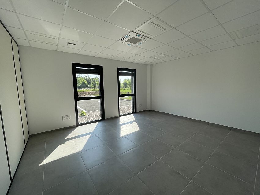 Local d'activités Location 62580 NEUVILLE ST VAAST