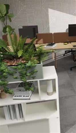 Bureau Vente 69740 GENAS  RUE ANTOINE PINAY
