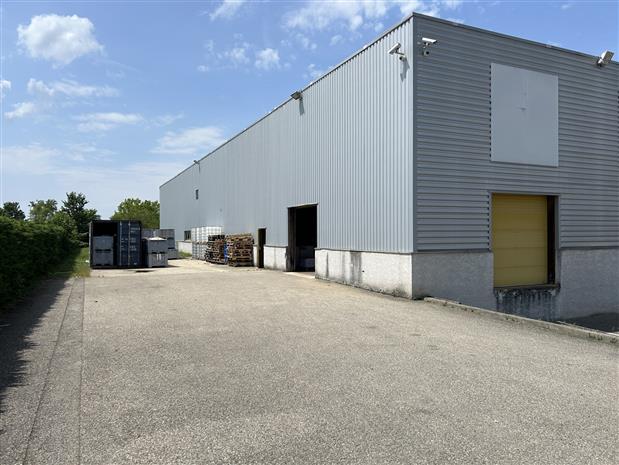 Local d'activités Location 69330 MEYZIEU 8 AVENUE DES PAYS BAS