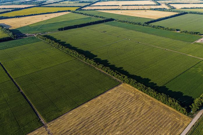 Terrain Vente 91160 BALLAINVILLIERS