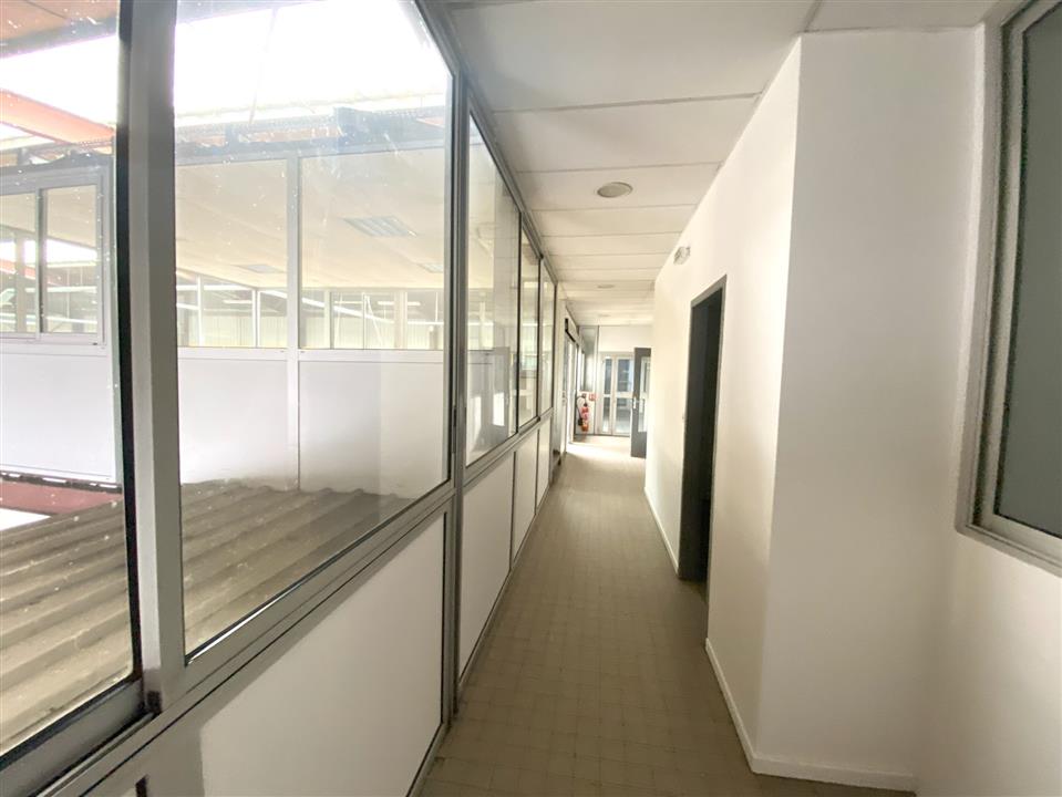 Local d'activités Location 31200 TOULOUSE