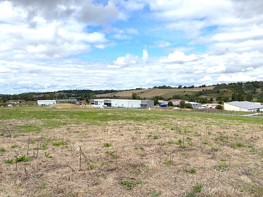 Terrain Vente 31280 DREMIL LAFAGE