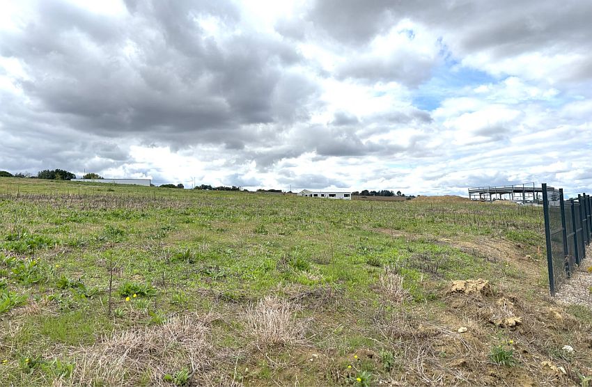 Terrain Vente 31280 DREMIL LAFAGE