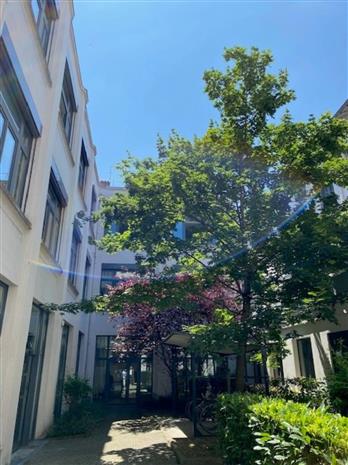 Bureau Vente 69007 LYON 37-39 AVENUE JEAN JAURES
