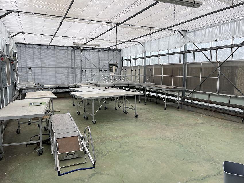 Local d'activités Vente 34980 MONTFERRIER SUR LEZ
