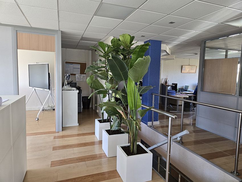 Bureau Vente 69160 TASSIN LA DEMI LUNE 71-81 RUE FRANCOIS MERMET