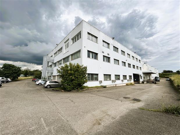 Local d'activités Location 69140 RILLIEUX LA PAPE 110 RUE DU COMPANET