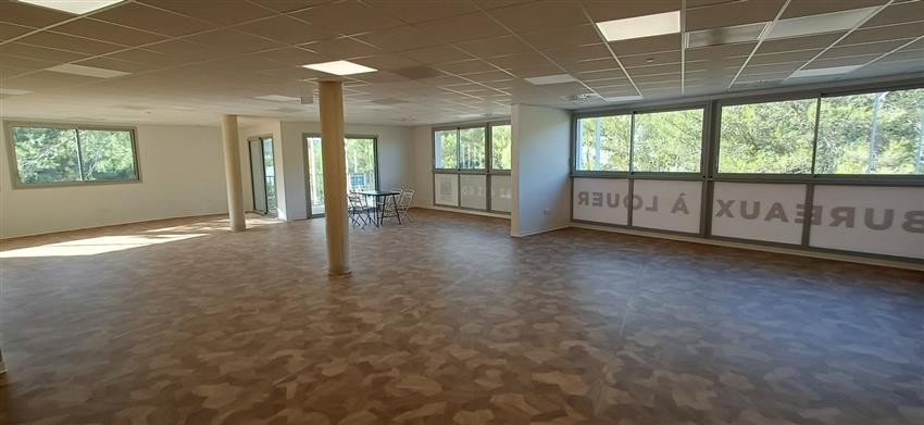 Bureau Location 34980 ST GELY DU FESC 1378 AVENUE DU CLAPAS