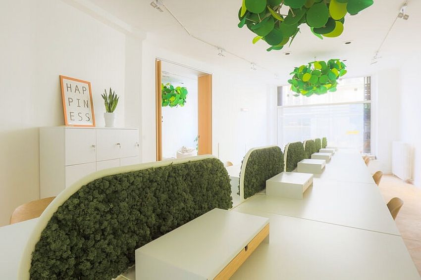 Coworking Location 75009 PARIS