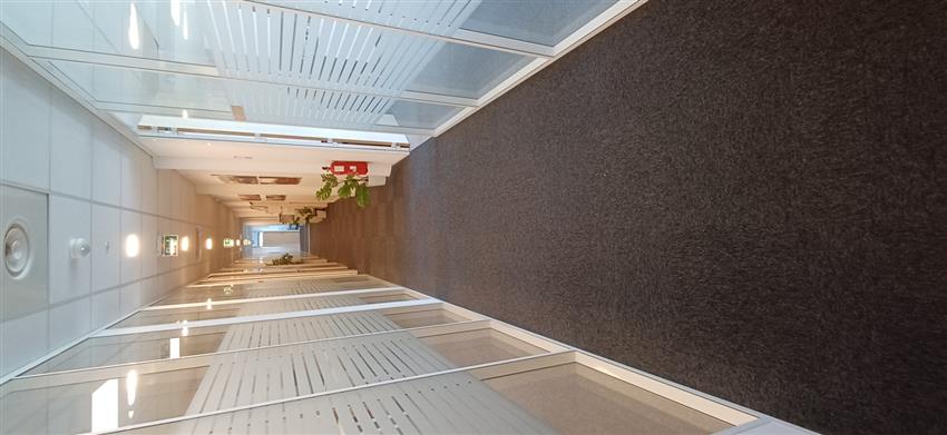 Bureau Location 34000 MONTPELLIER 188 RUE EUCLIDE