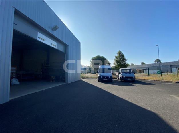 Local d'activités Location 33160 ST MEDARD EN JALLES