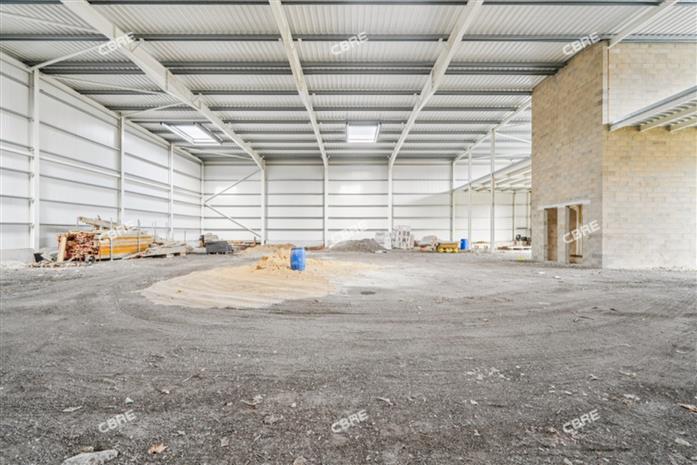 Chargement de l'image...