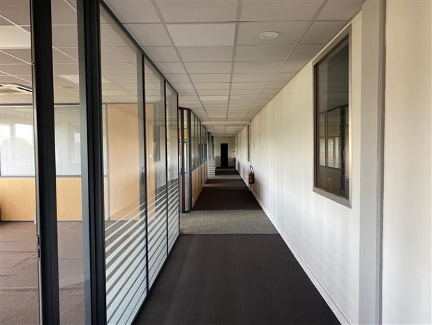 Local d'activités Location 91120 PALAISEAU