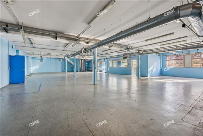 Local d'activités Vente/Location 78100 ST GERMAIN EN LAYE