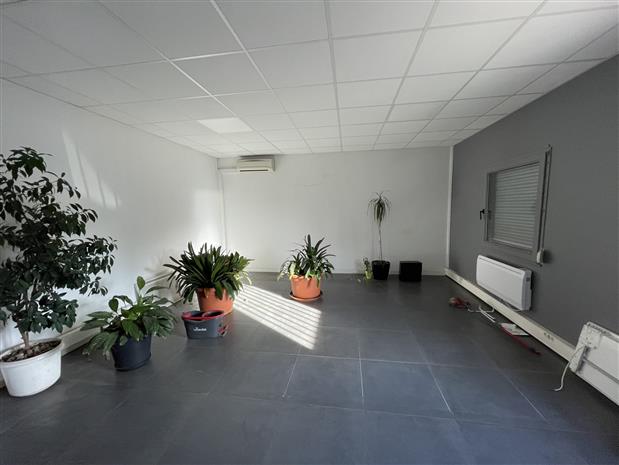 Local d'activités Location 69320 FEYZIN