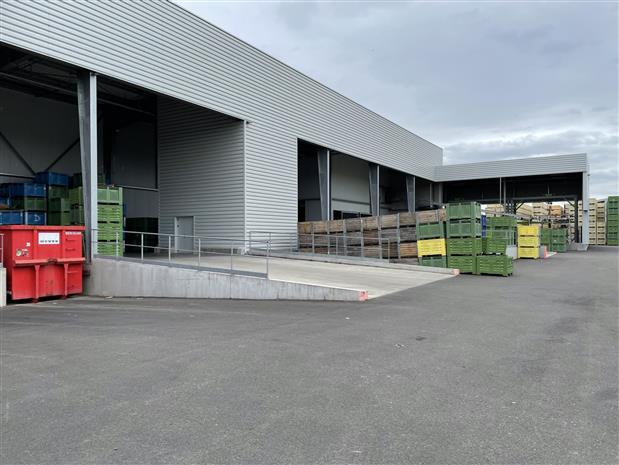 Entrepôt / Local d'activités Vente 49480 VERRIERES EN ANJOU 30 BOULEVARD LOUIS DELAGE