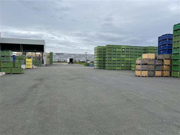 Entrepôt / Local d'activités Vente 49480 VERRIERES EN ANJOU 30 BOULEVARD LOUIS DELAGE