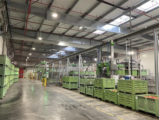 Entrepôt / Local d'activités Vente 49480 VERRIERES EN ANJOU 30 BOULEVARD LOUIS DELAGE