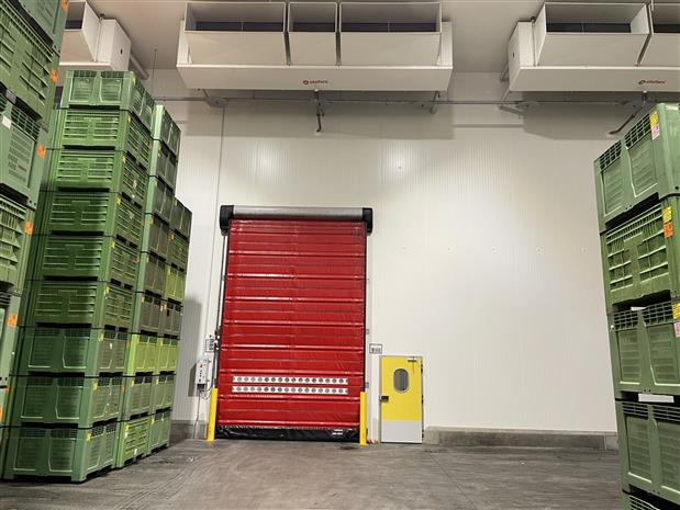 Entrepôt / Local d'activités Vente 49480 VERRIERES EN ANJOU 30 BOULEVARD LOUIS DELAGE