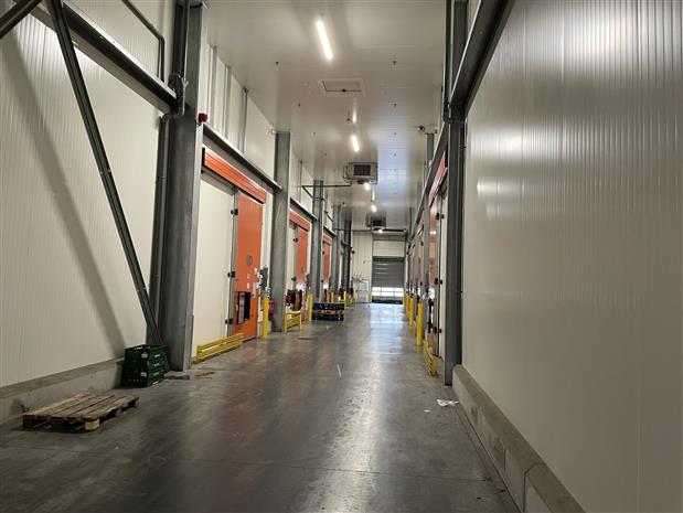 Entrepôt / Local d'activités Vente 49480 VERRIERES EN ANJOU 30 BOULEVARD LOUIS DELAGE