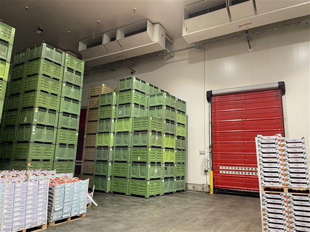 Entrepôt / Local d'activités Vente 49480 VERRIERES EN ANJOU 30 BOULEVARD LOUIS DELAGE