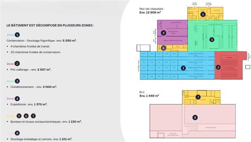 Entrepôt / Local d'activités Vente 49480 VERRIERES EN ANJOU 30 BOULEVARD LOUIS DELAGE