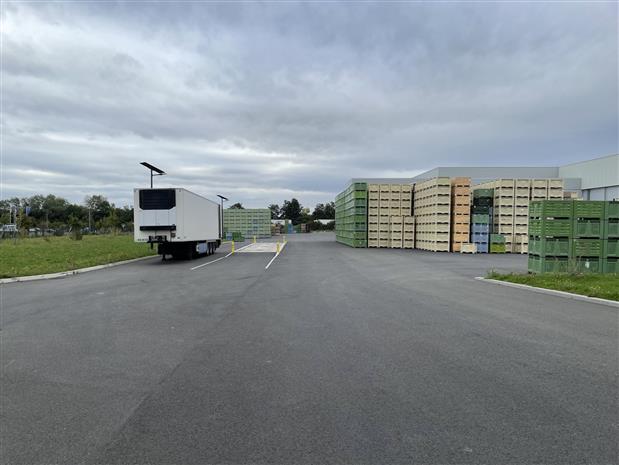 Entrepôt / Local d'activités Vente 49480 VERRIERES EN ANJOU 30 BOULEVARD LOUIS DELAGE