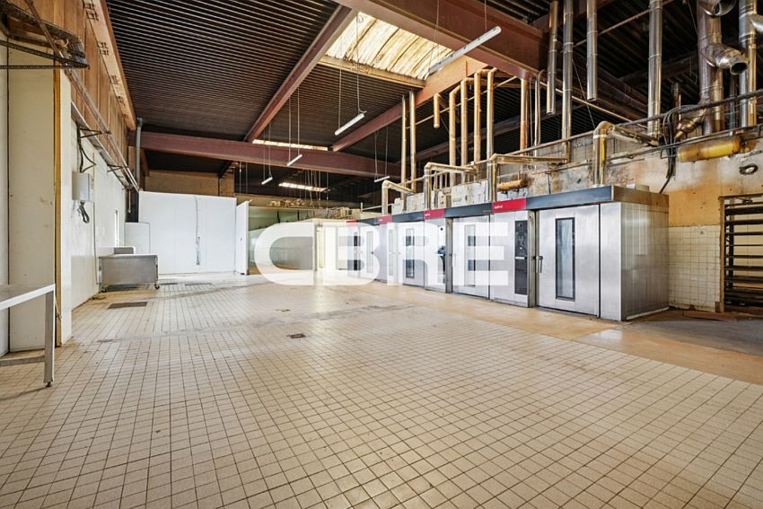 Local d'activités Vente 69600 OULLINS