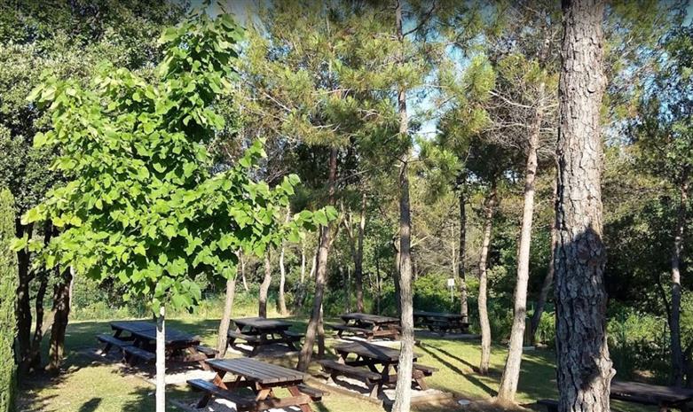 Bureau Location 06560 VALBONNE