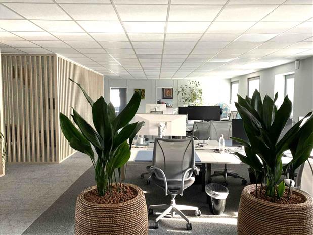 Bureau Vente/Location 59290 WASQUEHAL