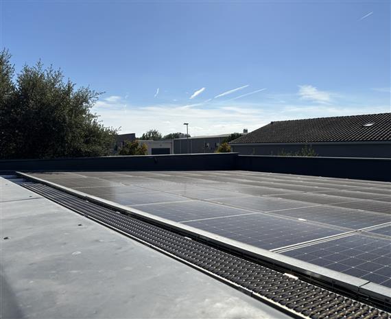 Local d'activités Location 31320 CASTANET TOLOSAN