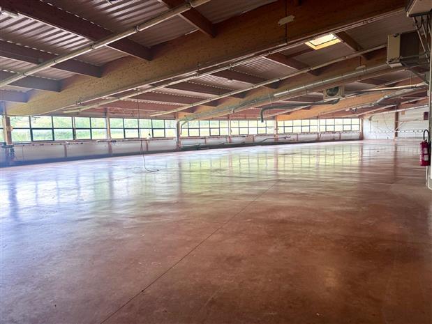 Local d'activités Vente/Location 01250 CEYZERIAT