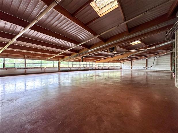 Local d'activités Vente/Location 01250 CEYZERIAT