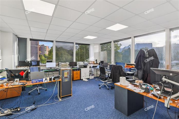 Chargement de l'image...