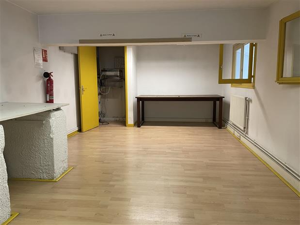 Local d'activités Location 69007 LYON