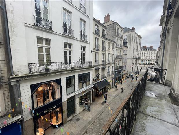 Chargement de l'image...