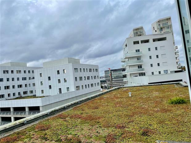 Chargement de l'image...