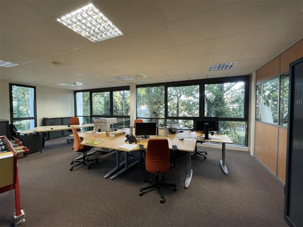 Chargement de l'image...