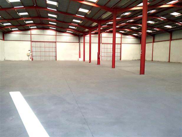 Local d'activités Vente 81150 LABASTIDE DE LEVIS